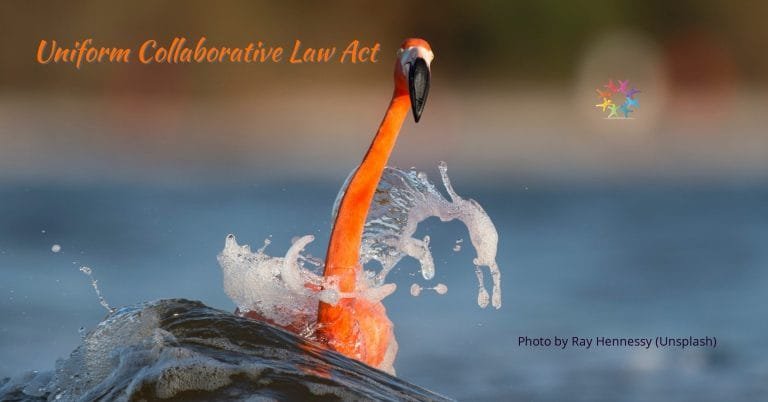 American Flamingo on Water with Waves. Photo by Ray Hennessy Unsplash