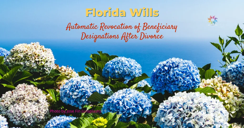 Hydrangeas with calm blue sea in the background. Florida Wills Automatic Revocation of Beneficiary Designations After Divorce.