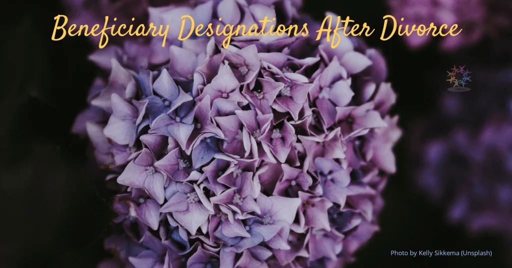 Fall purple hydrangeas Text reads Update Beneficiary Designations After Divorce