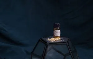 Hague Convention Defense. Grave Risk of Harm: Parent’s Drug Abuse. Pretty Drugthings (Unsplash)