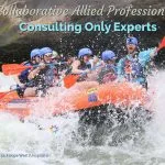 Collaborative Allied Professionals Consulting Only Experts
