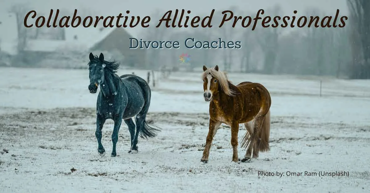 Collaborative Divorce Coaches. Brown and Blue horses on snowy ground.