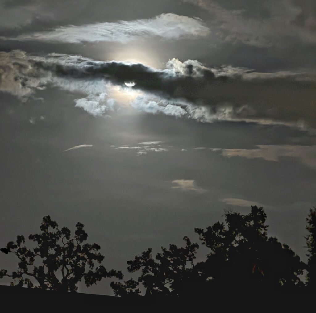 Night Lawsona sky