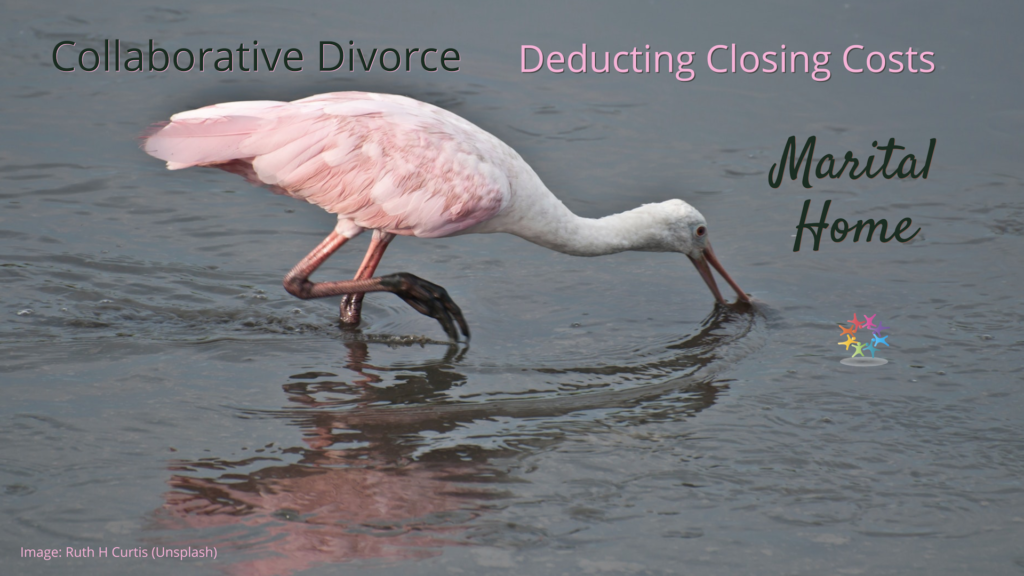 Imminent Sale Doctrine Pink and white roseate spoonbill