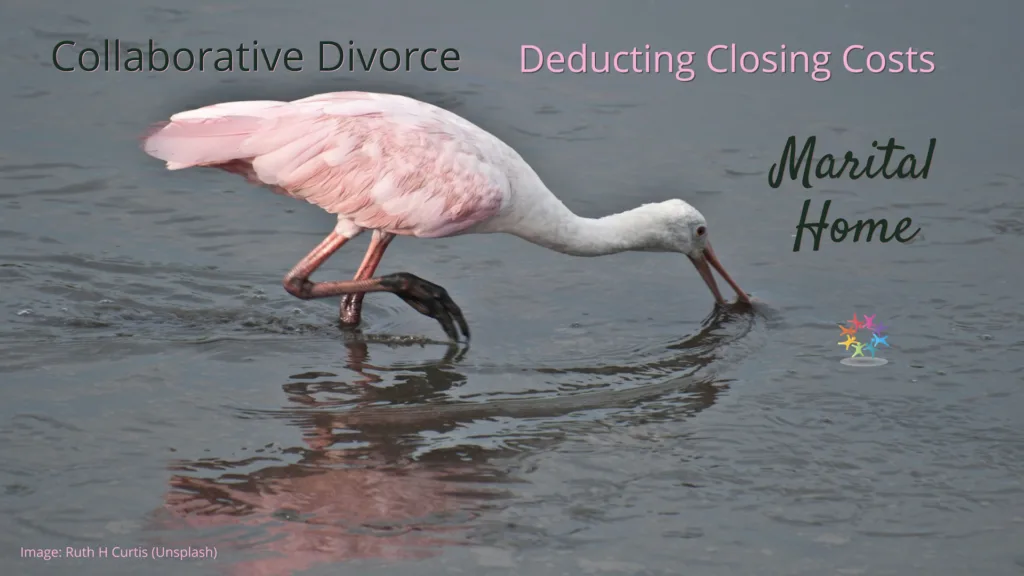 Imminent Sale Doctrine Pink and white roseate spoonbill