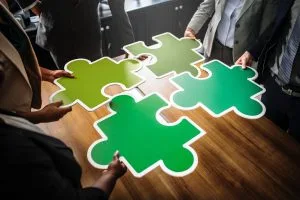 Jigsaw puzzle pieces collaborative law system